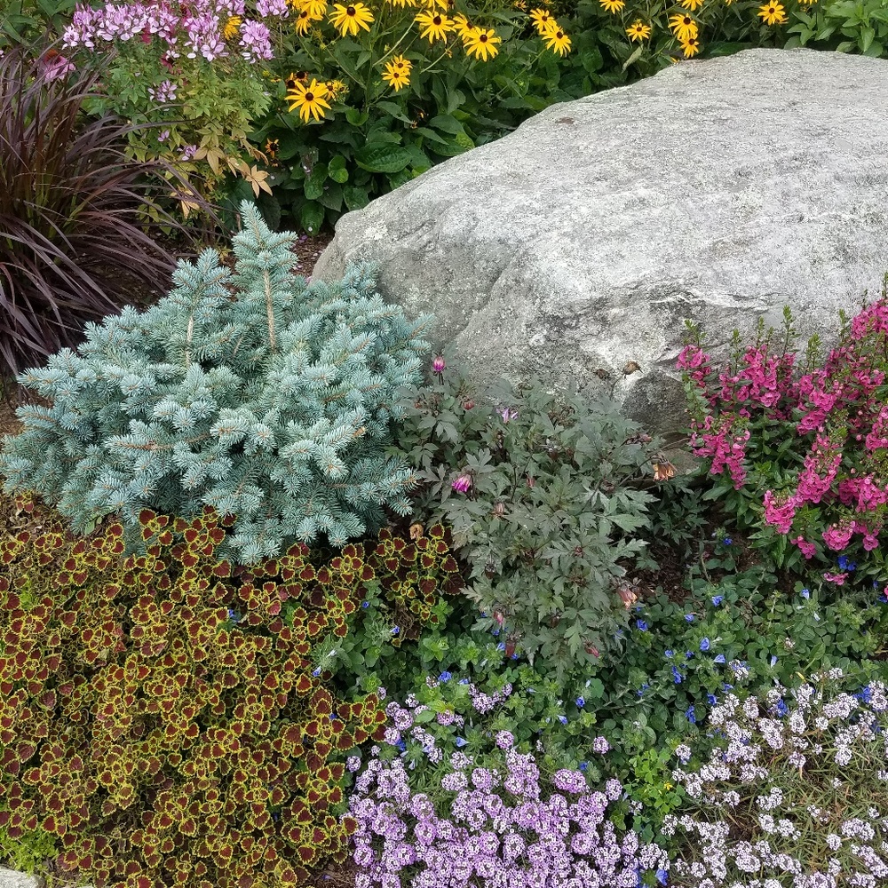 Any item $6 or less can be bundled for $3 an item!